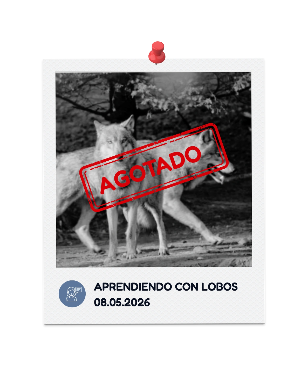 Aprendiendo con lobos